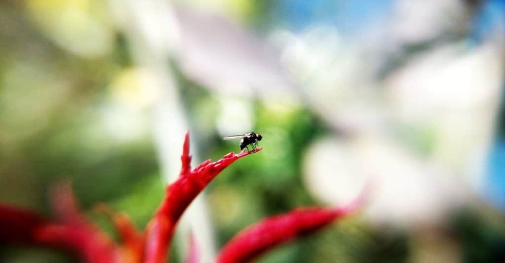 découvrez notre micro-crèche, un espace chaleureux et sécurisé dédié à l'épanouissement de vos tout-petits. avec des activités ludiques et éducatives adaptées à chaque âge, nous offrons un environnement bienveillant pour favoriser la socialisation et le développement des enfants. inscrivez-vous dès maintenant pour une visite!